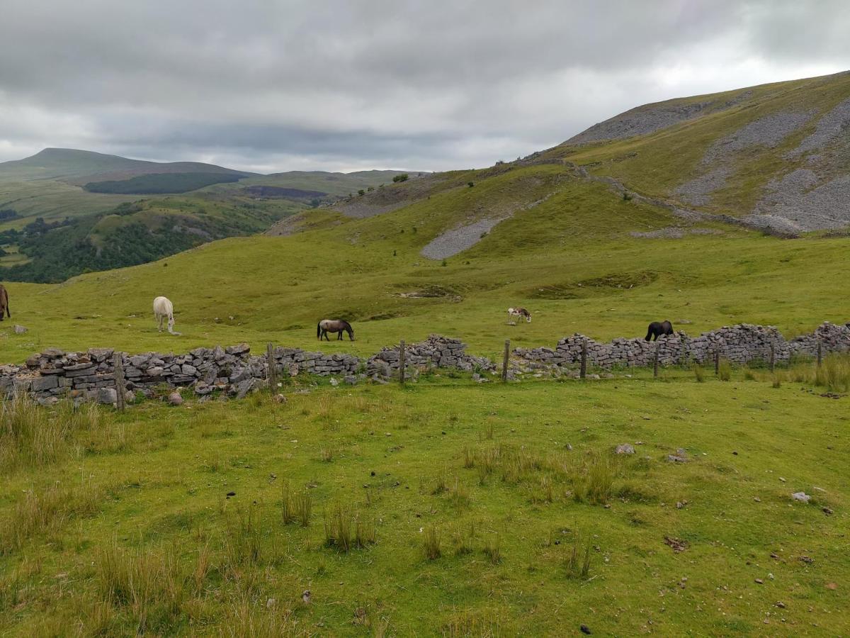 Pentre Cottage Near Craig Y Nos Pen-y-cae  Ngoại thất bức ảnh